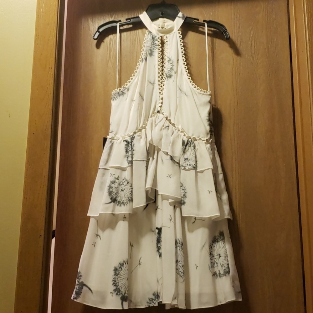 Express silk dress